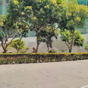 b8e0f53c-11ff-4205-ac11-b7d611b9f3d0