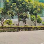 e99cd893-7a32-4fb0-bf09-bc1005769ab8